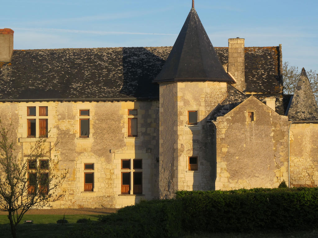 Manoir Du Bois Noblet Bed & Breakfast Louerre Eksteriør bilde